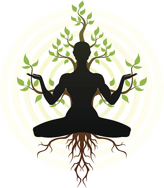International Day of Yoga 2023 in Miskolc