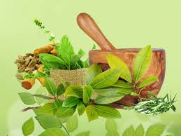 Lecture on Ayurveda 