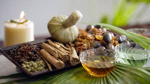 Ayurveda Day Celebration